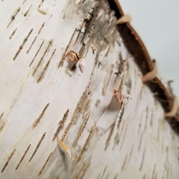 Handmade Birch Wood Garbage Can Native White Brown - Picture 11 of 14